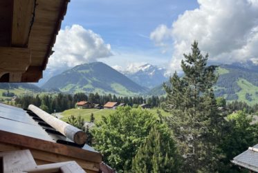 Penthouse face aux sommets - trois suites, piscine & spa.